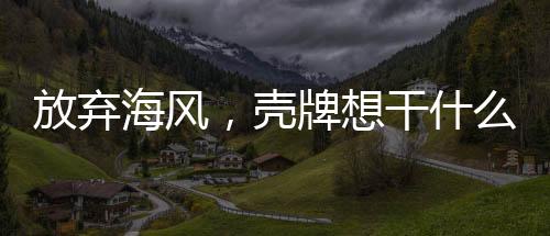 放弃海风,壳牌想干什么?