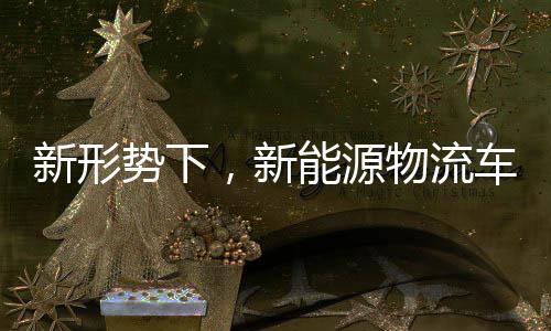 新形势下,新能源物流车还能否一路高歌?